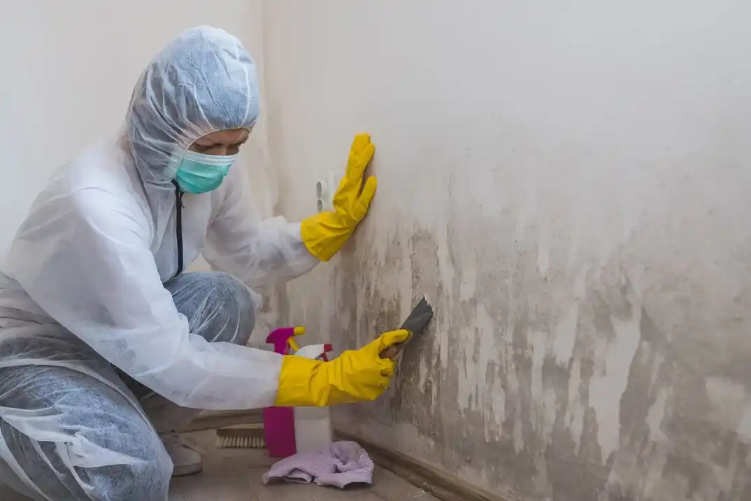 water damage restoration service Lakeside on Preston